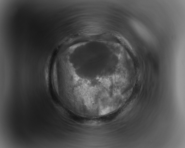 X0000087540542200705181050