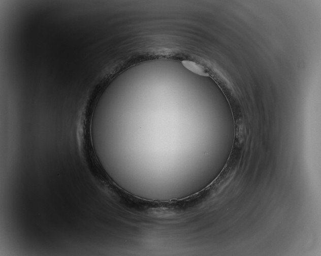 X0000087540544200705181050