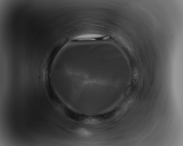 X0000087540547200705181050