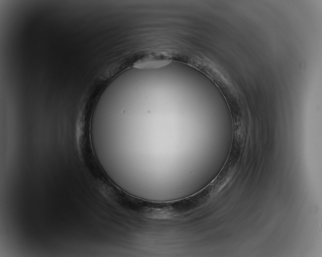 X0000087540548200705181050