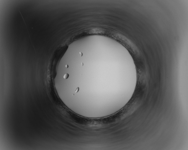 X0000087540549200705181050