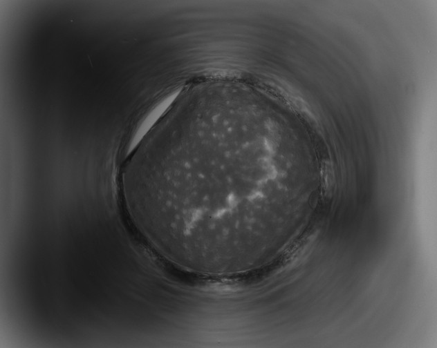 X0000087540550200705181050