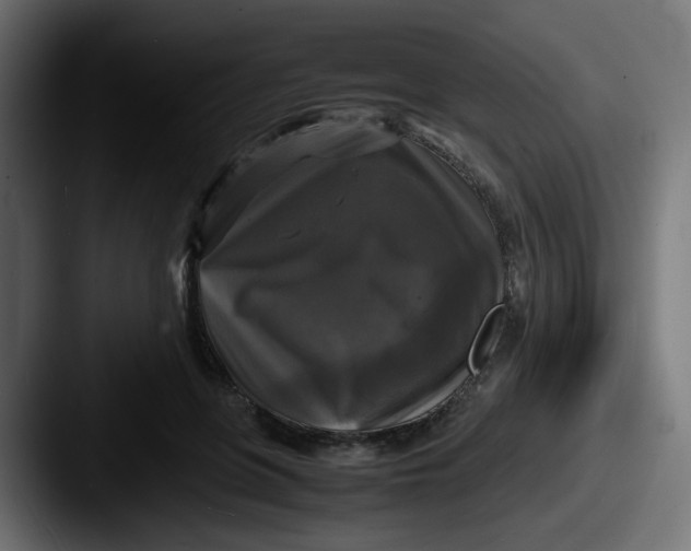 X0000087540551200705181050