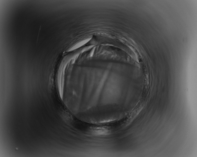 X0000087540553200705181050