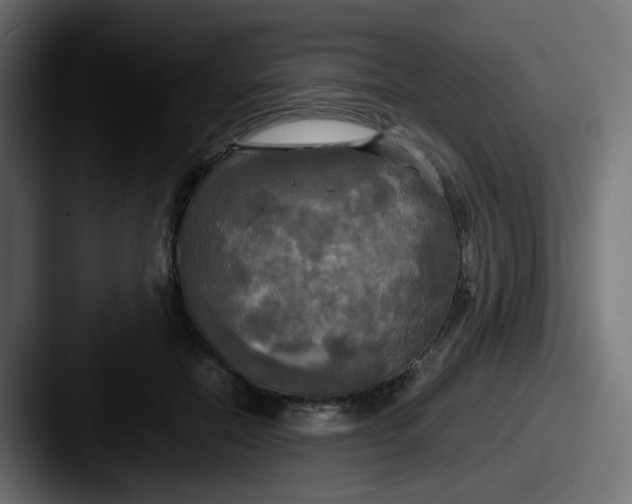 X0000087540554200705181050