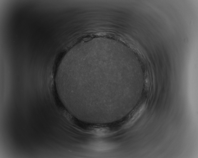 X0000087540555200705181050