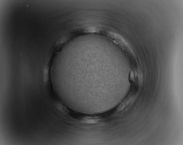 X0000087540556200705181050