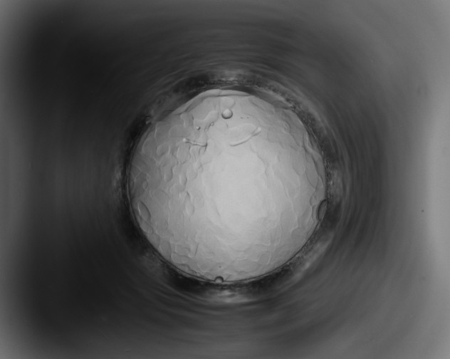 X0000087540557200705181050