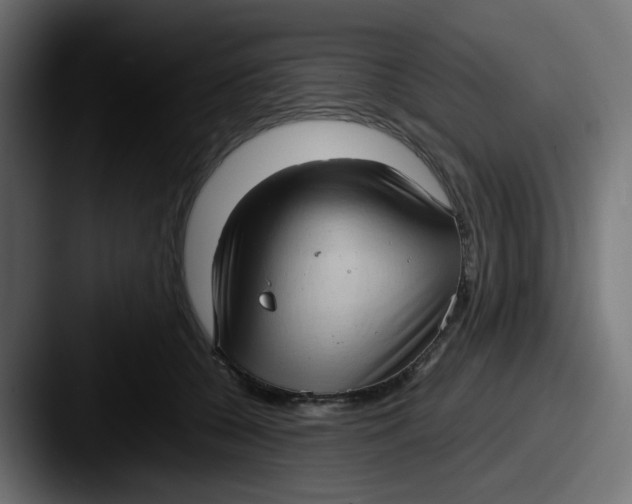 X0000087540560200705181050