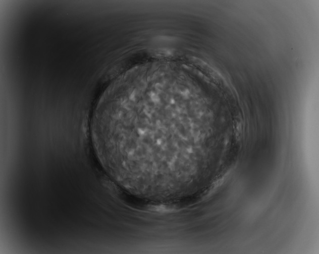 X0000087540561200705181050