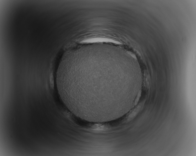 X0000087540562200705181050