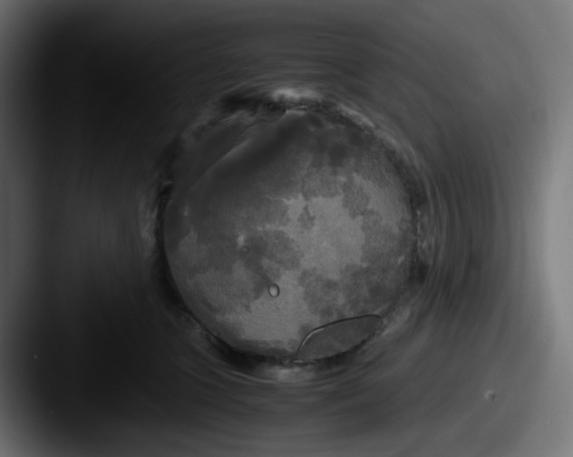 X0000087540563200705181050