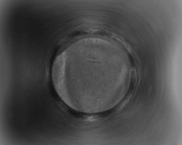 X0000087540564200705181050