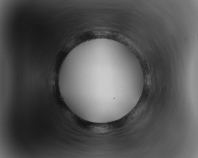 X0000087540567200705181050