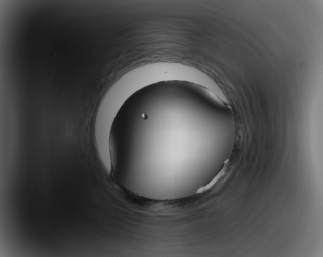 X0000087540568200705181050