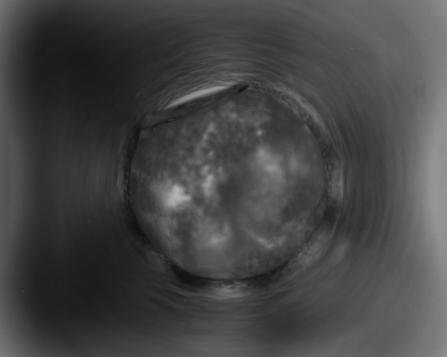 X0000087540569200705181050