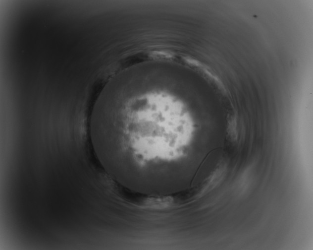 X0000087540571200705181051