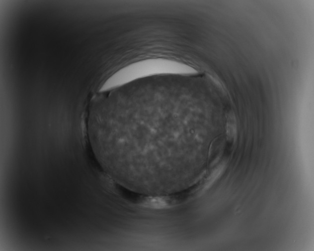 X0000087540573200705181051