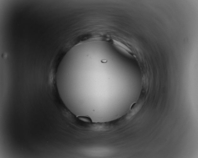 X0000087540574200705181051