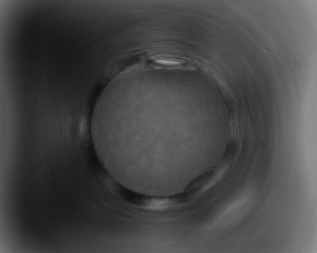 X0000087540575200705181051