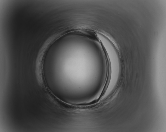 X0000087540577200705181050