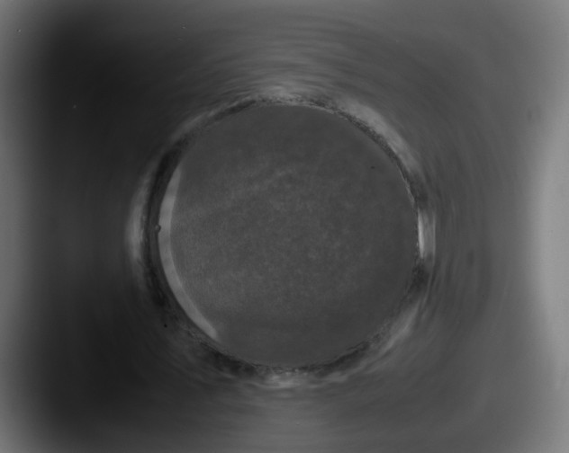 X0000087540579200705181050