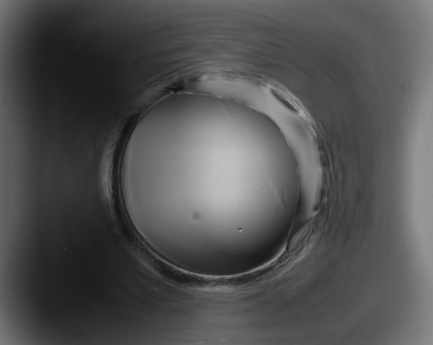 X0000087540581200705181050