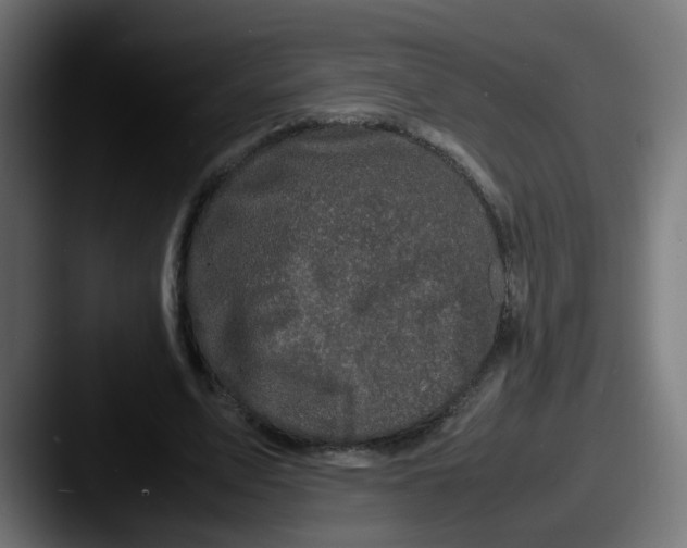 X0000087540583200705181050