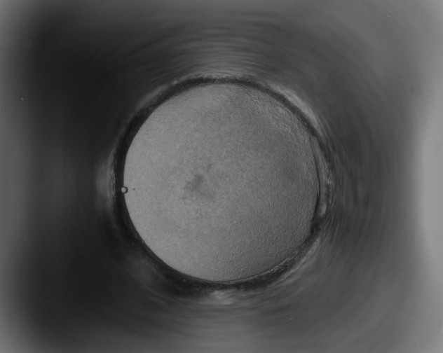 X0000087540584200705181050