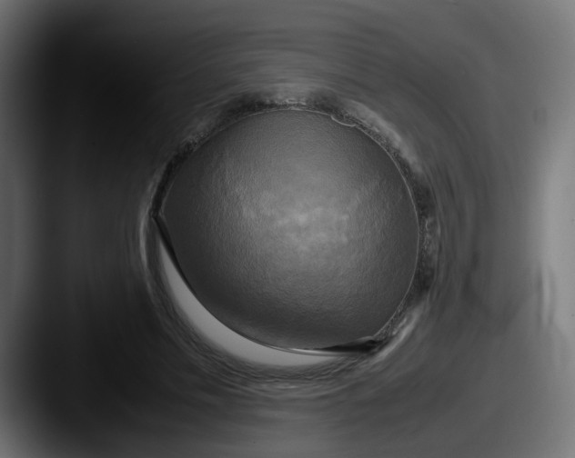 X0000087540589200705181050