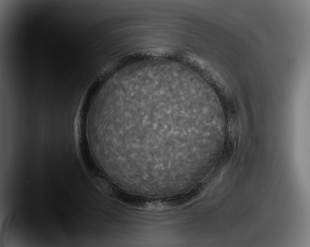 X0000087540591200705181050