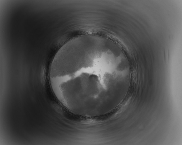 X0000087540594200705181050