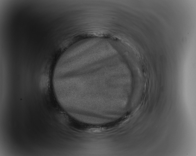 X0000087540595200705181050