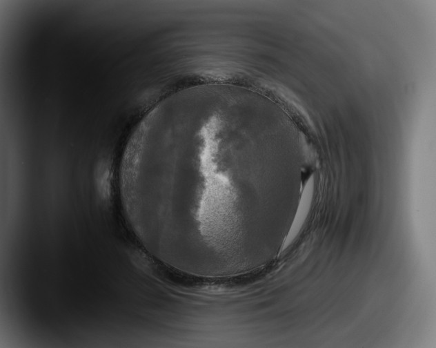 X0000087540596200705181050