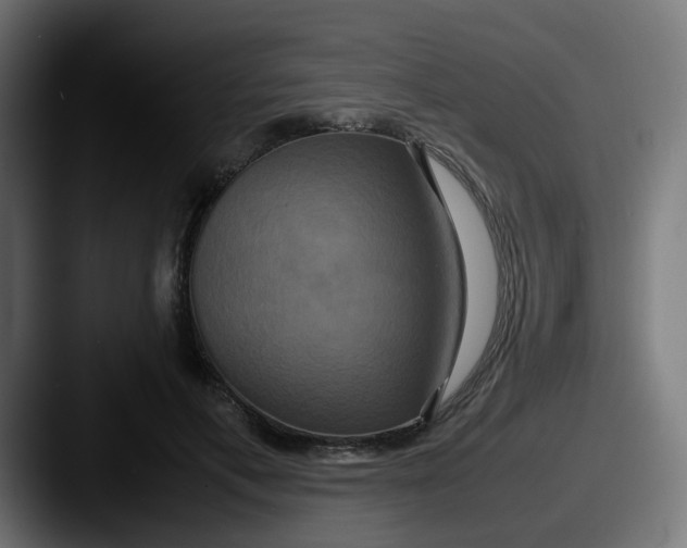 X0000087540597200705181050