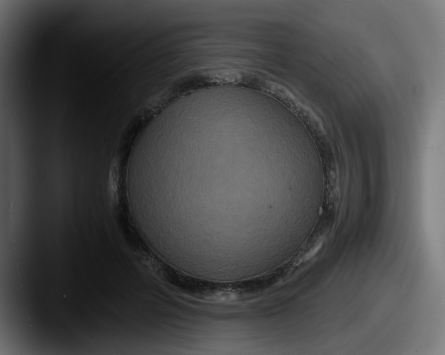 X0000087540600200705181050