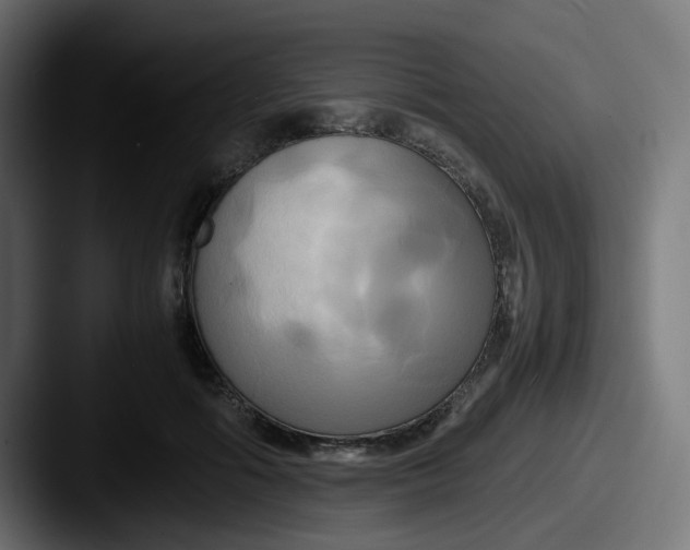 X0000087540602200705181050