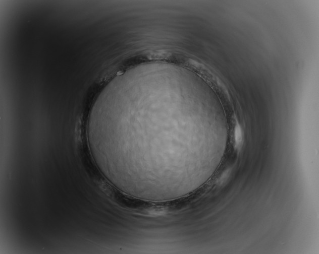 X0000087540604200705181050