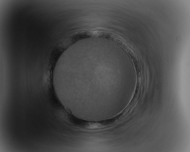 X0000087540605200705181050