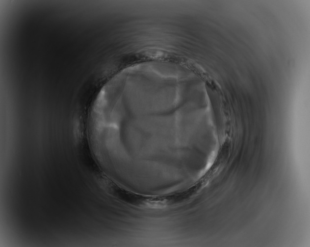 X0000087540606200705181050