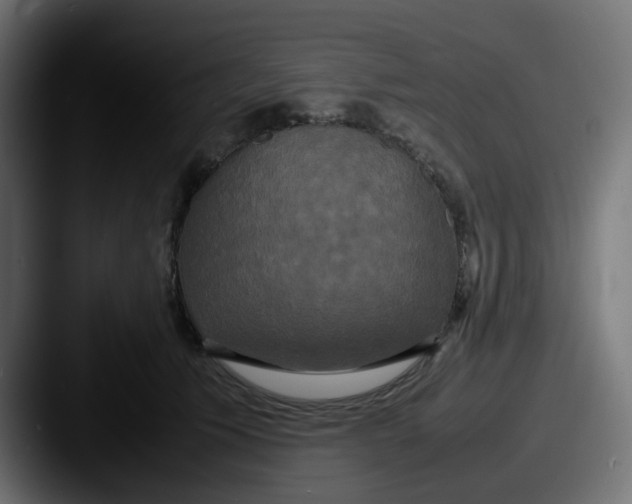 X0000087540609200705181050