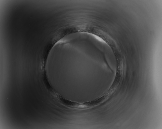 X0000087540610200705181050