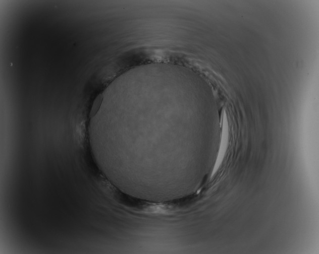 X0000087540611200705181050