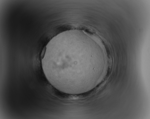 X0000087540613200705181050