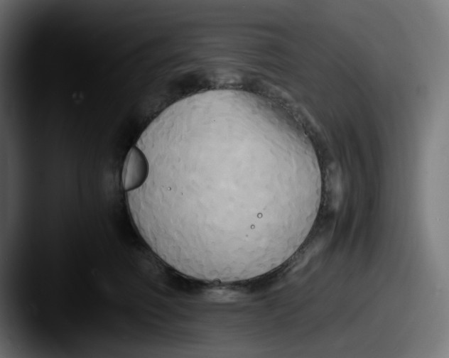 X0000087540614200705181050