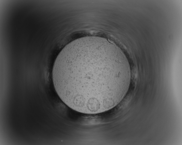 X0000087540615200705181050