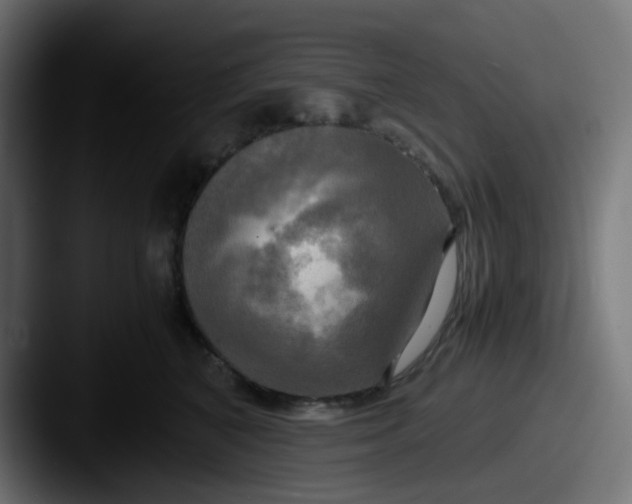 X0000087540616200705181050