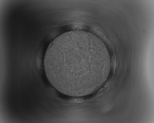 X0000087540619200705181050