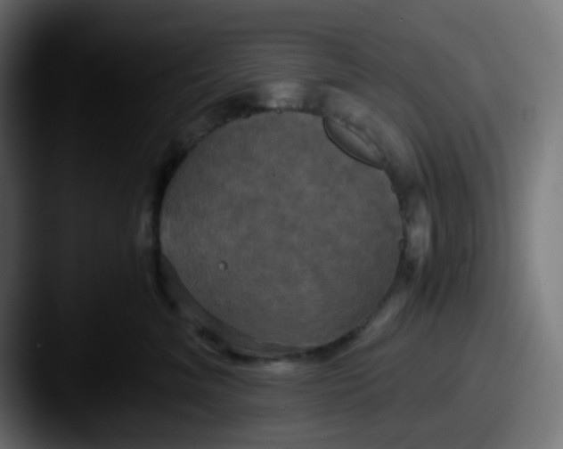 X0000087540620200705181050