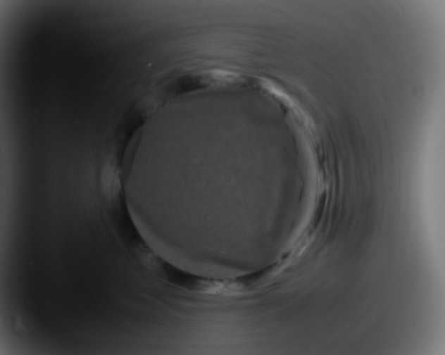 X0000087540621200705181050